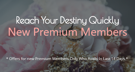 Doctor Marriage Bureau